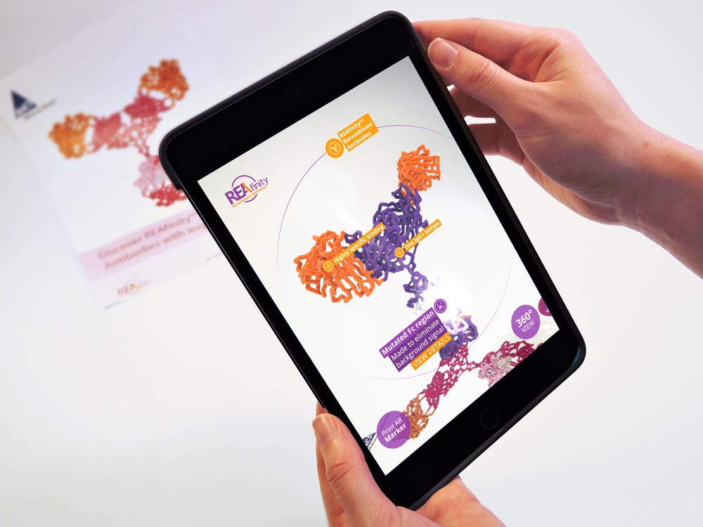 AR app on I-pad provides more information on antibody model